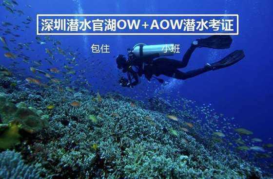 there be句型主谓一致怎么写? - 机智问答,智慧解疑惑