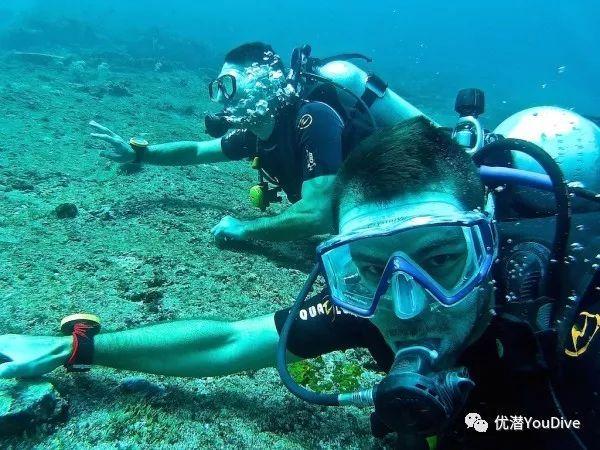 西安市两领导干部拟提拔 一位稳扎稳打 一位学历辉煌