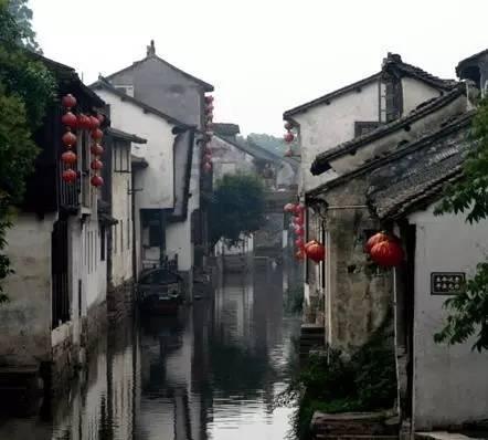 热闹非凡！福州铁路花木基地迎春花市开启 品种多样吸引市民购买